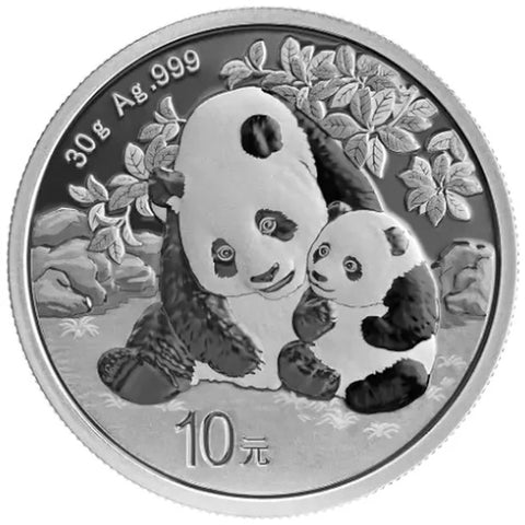 2024 30g Chinese Panda Silver Coin